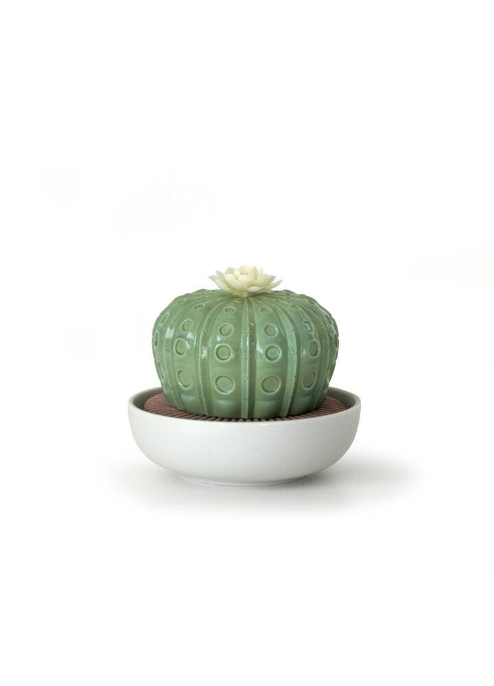 Astrophytum Cactus Diffuser. Gardens of Valencia Scent in Lladró