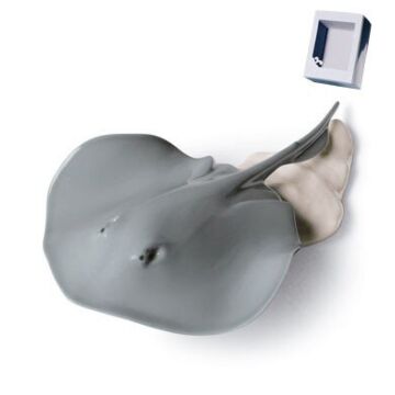 STINGRAY-WB in Lladró
