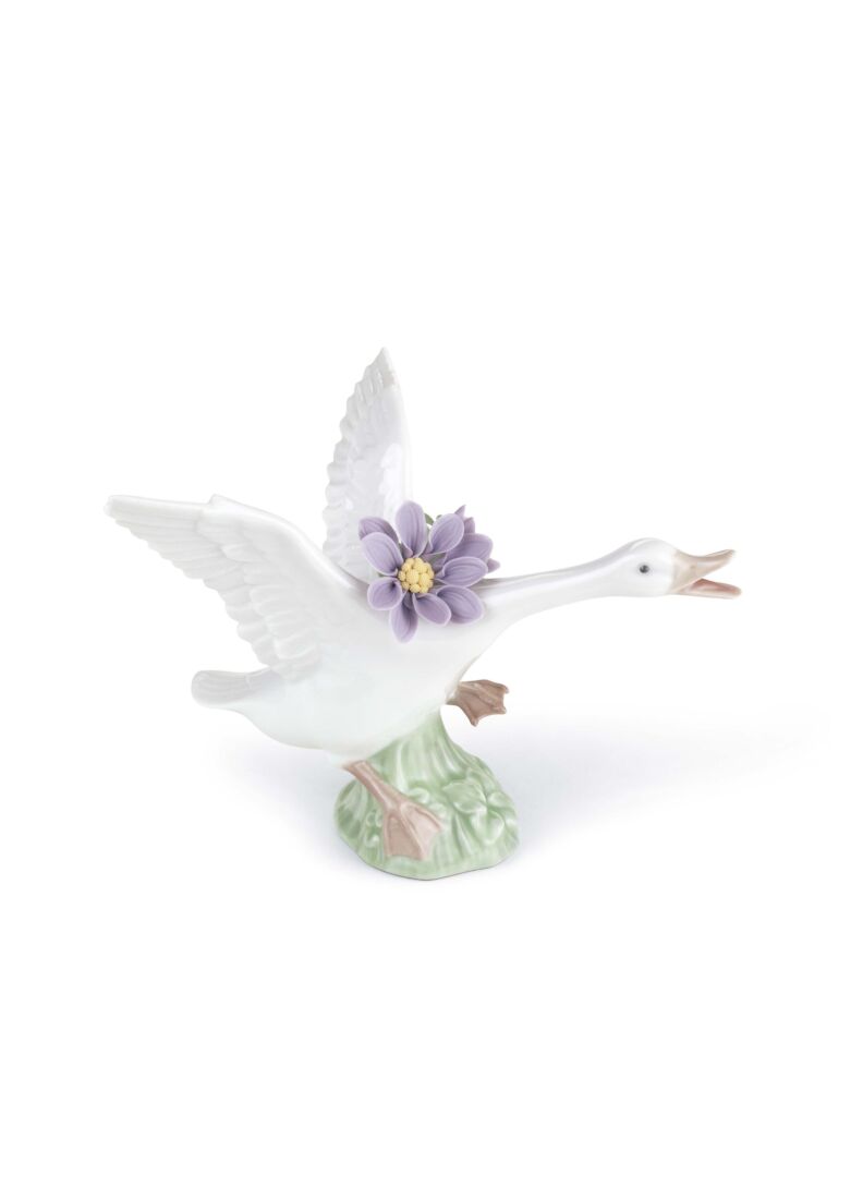 Jumping duck with purple dahlias, 1 of 1