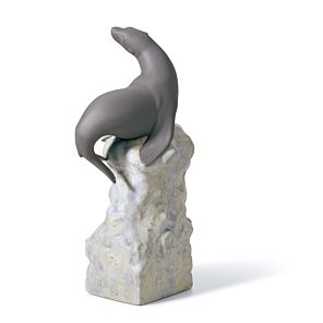 EQUILIBRIO - FOCA I